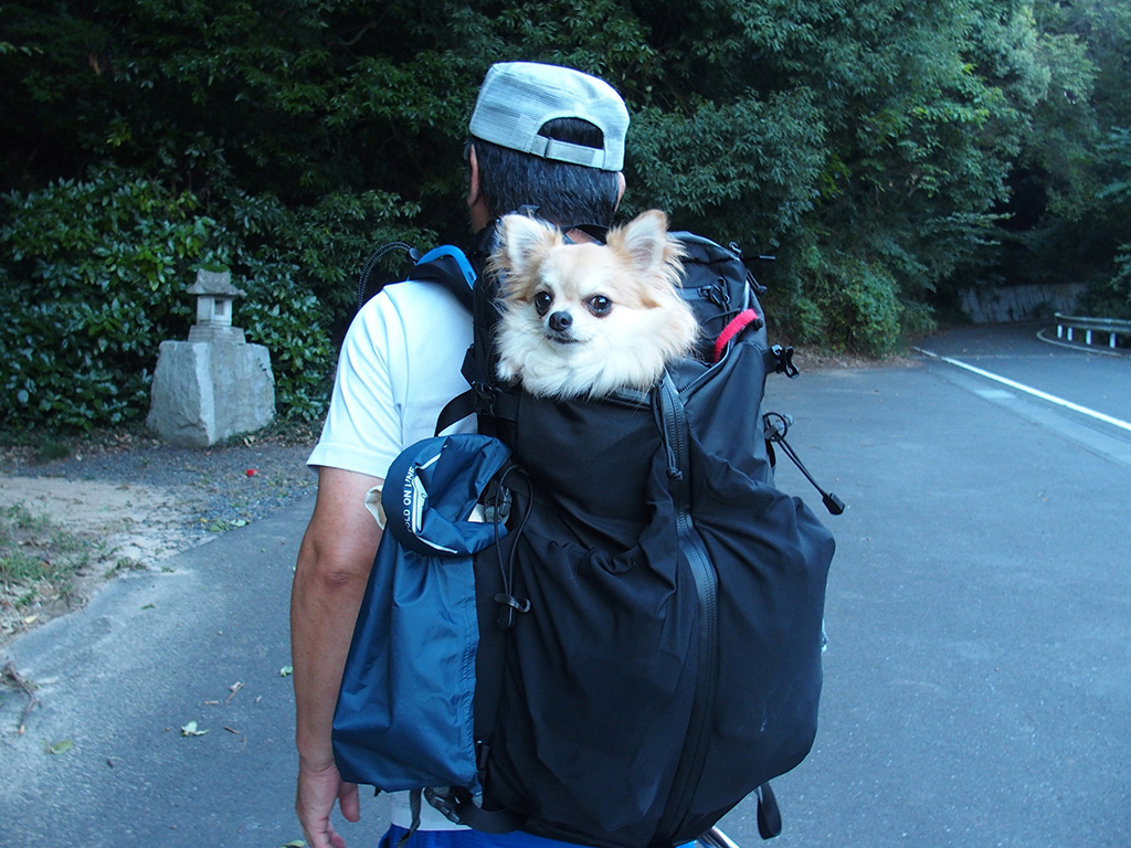 筑波山へ犬連れマイカー登山＜薬王院コース～関東ふれあい道＞2